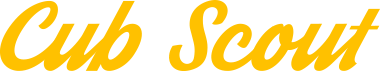 カブスカウト