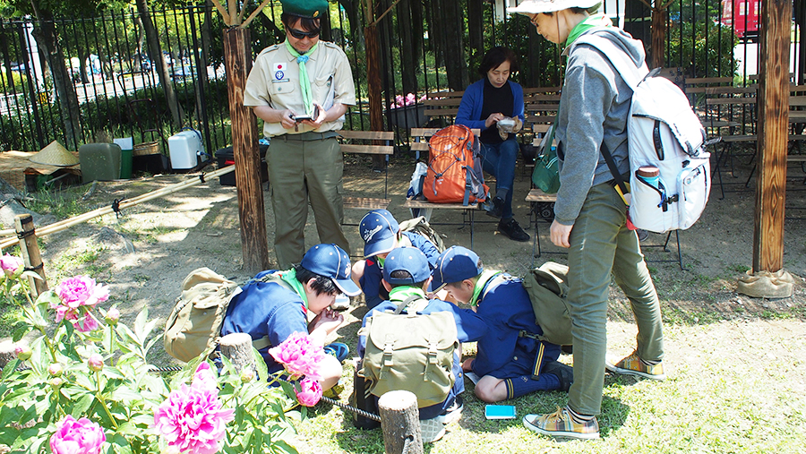 春キャンプカブスカウト久宝寺公園関所ハイク