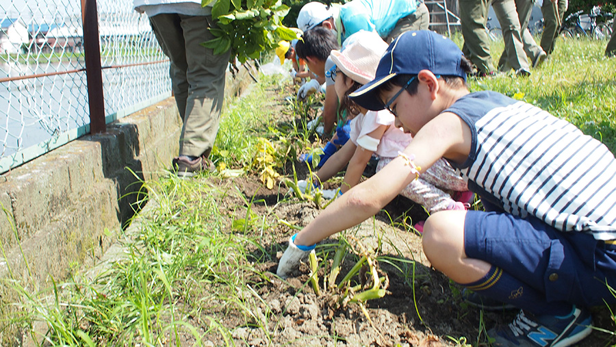 団行事　苗植え