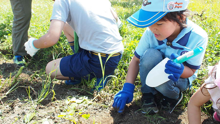 団行事　苗植え