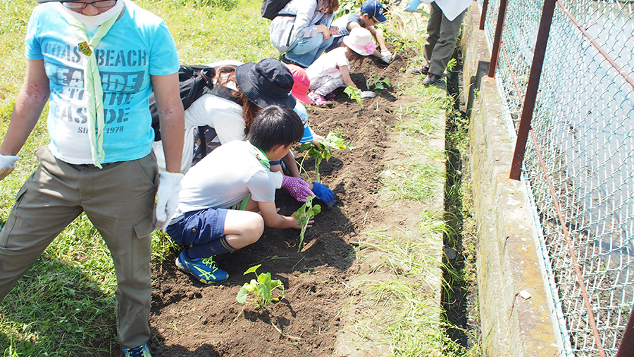 団行事　苗植え
